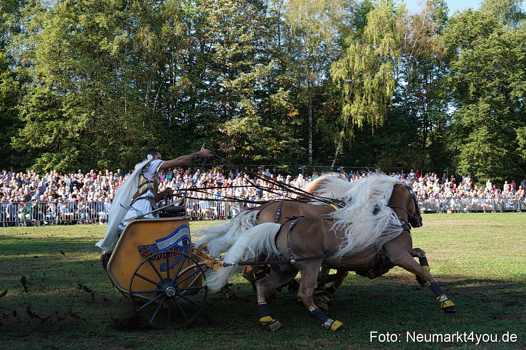 Pferde und Fohlenschau 2022 0035 